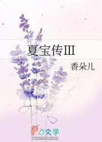 夏宝传3